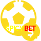 Aposte em esportes do mundo todo no SPICYBET!